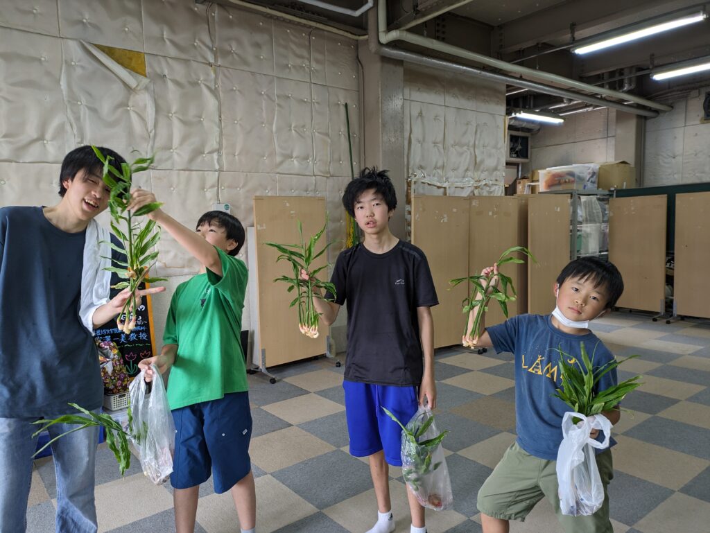 菜園