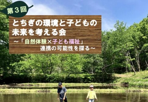 チラシ面