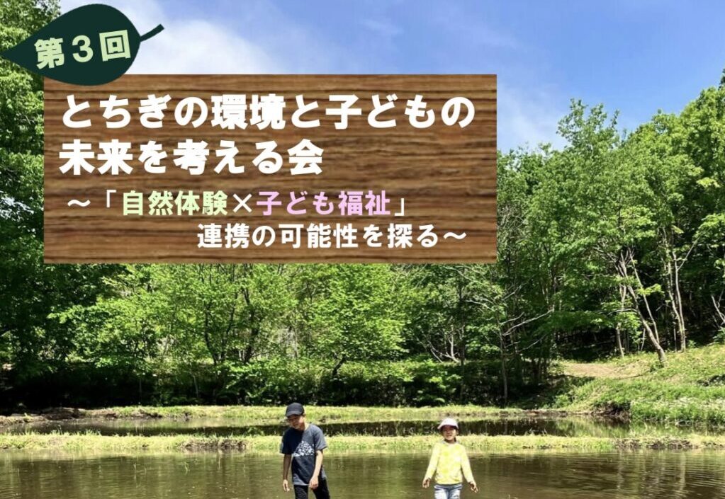 チラシ面