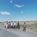 みんなでお散歩