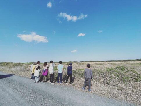 みんなでお散歩