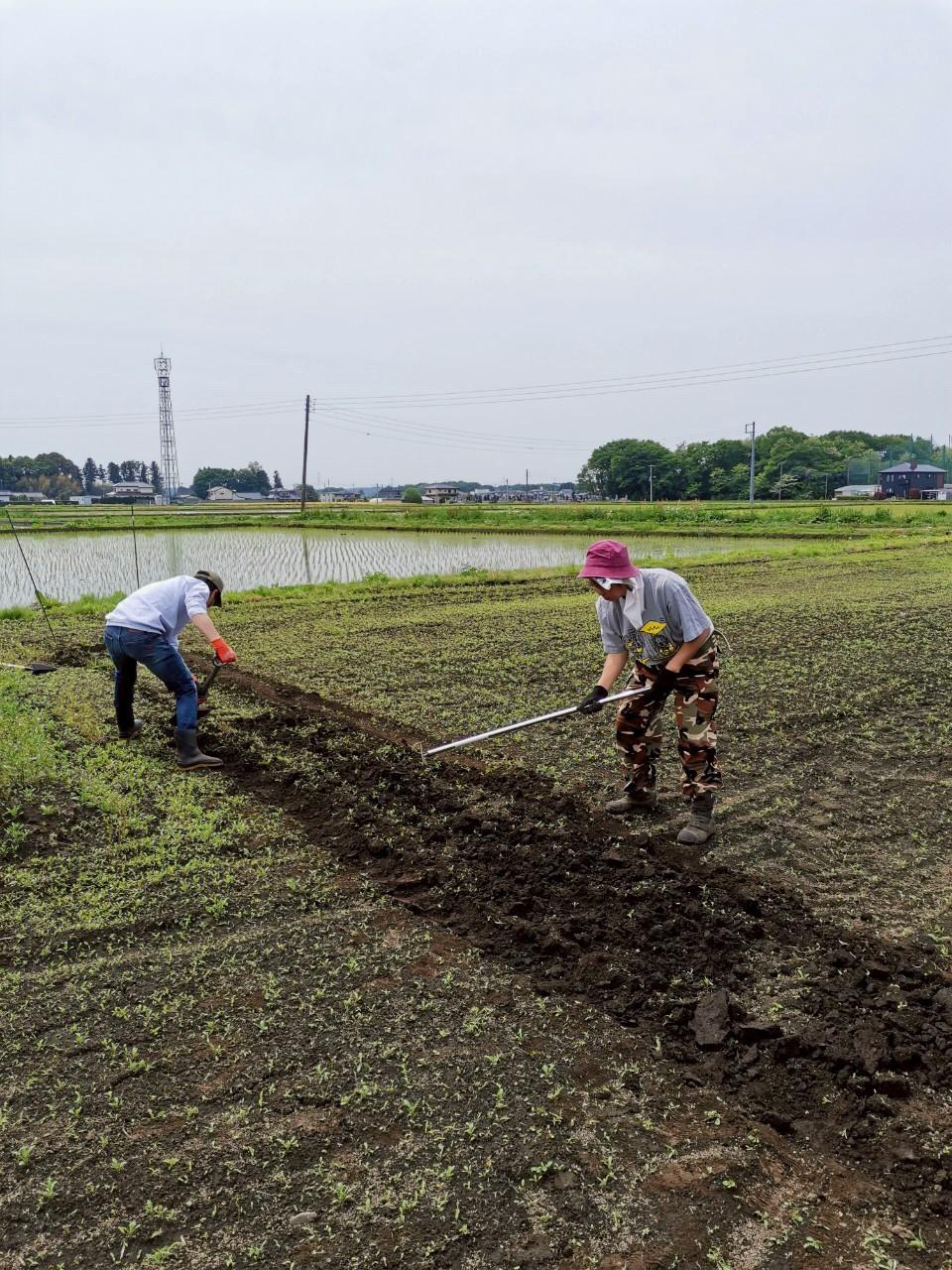 会の雰囲気5
畑