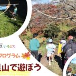 キッズハウスいろどり11月23日